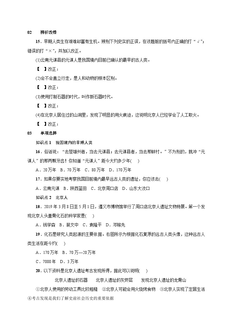 人教版七年级历史上册（安徽）练习：第1课  中国早期人类的代表北京人02