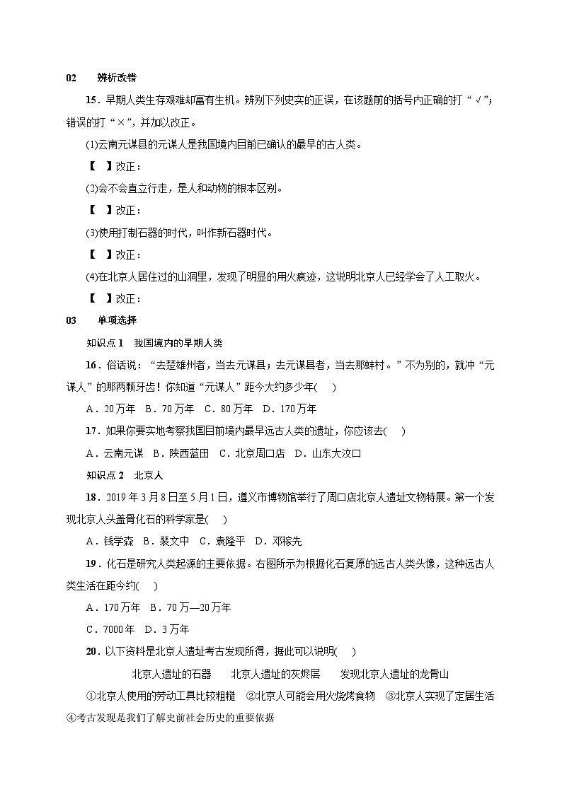人教版七年级历史上册（安徽）练习：第1课  中国早期人类的代表北京人02