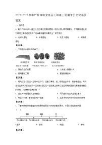 2022-2023学年广东深圳龙岗区七年级上册期末历史试卷及答案