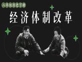 3.8 经济体制改革 课件 2023-2024学年部编版八年级历史下册