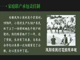 3.8 经济体制改革 课件 2023-2024学年部编版八年级历史下册