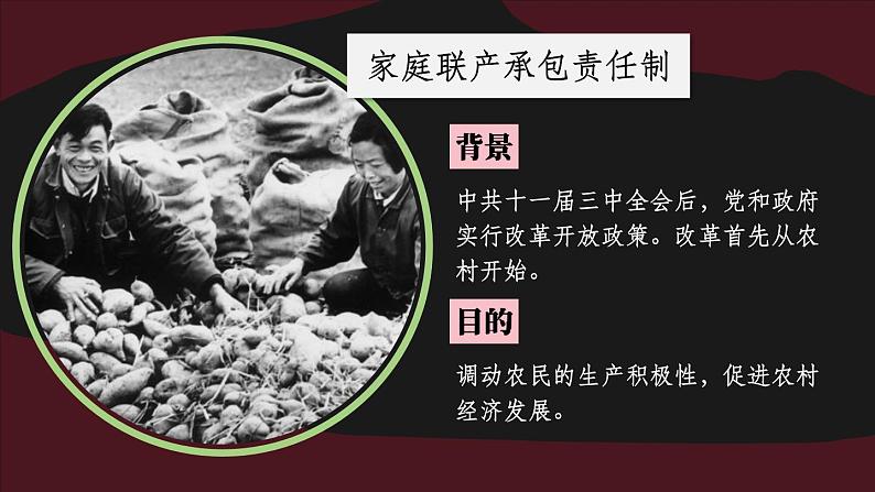 3.8 经济体制改革 课件 2023-2024学年部编版八年级历史下册05