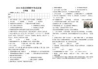 2023—2024学年七年级历史上册期中试卷（含答案）