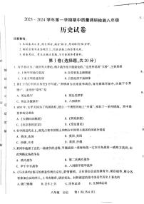 河南省洛阳市伊川县2023-2024学年八年级上学期11月期中历史试题