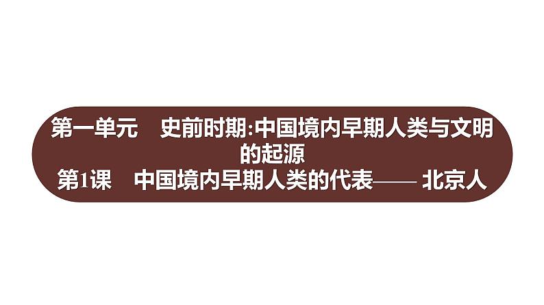 第一单元  第1课　中国境内早期人类的代表——北京人 习题课件 部编版历史 七年级上册01