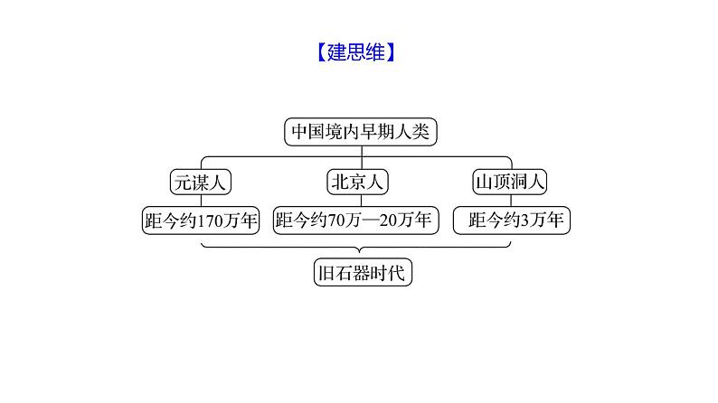 第一单元  第1课　中国境内早期人类的代表——北京人 习题课件 部编版历史 七年级上册05