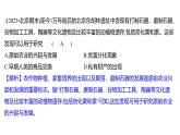 專項(xiàng)二　中國(guó)古代經(jīng)濟(jì)發(fā)展 習(xí)題課件 部編版歷史 七年級(jí)上冊(cè)