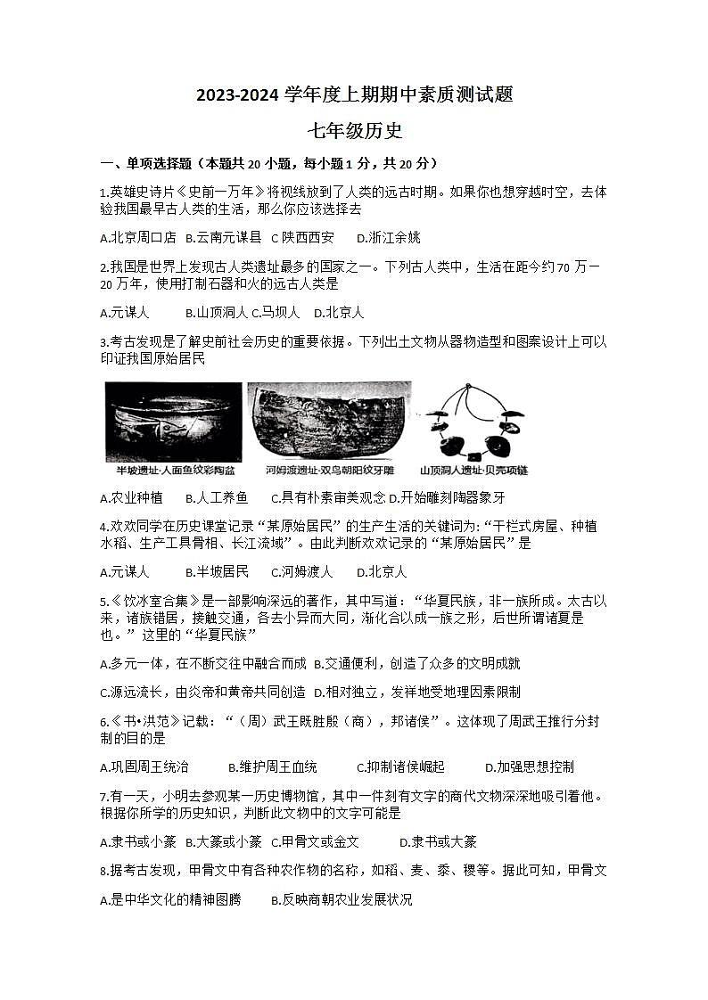 河南省驻马店市确山县2023-2024学年部编版七年级上学期11月期中历史试题01