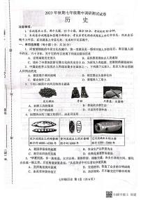 河南省南阳市卧龙区2023-2024学年七年级上学期11月期中历史试题