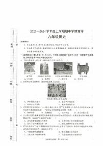 河南省驻马店市平舆县2023-2024学年九年级上学期11月期中历史试题