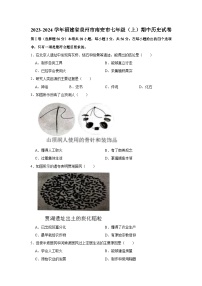 福建省泉州市南安市2023-2024学年七年级上学期期中历史试卷