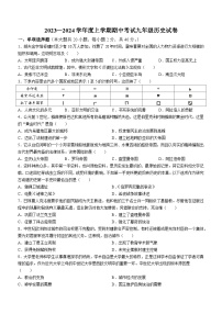 江西省抚州市东乡区2023-2024学年九年级上学期11月期中历史试题