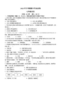 湖南省常德市澧县2023-2024学年七年级上学期11月期中历史试题（含答案）