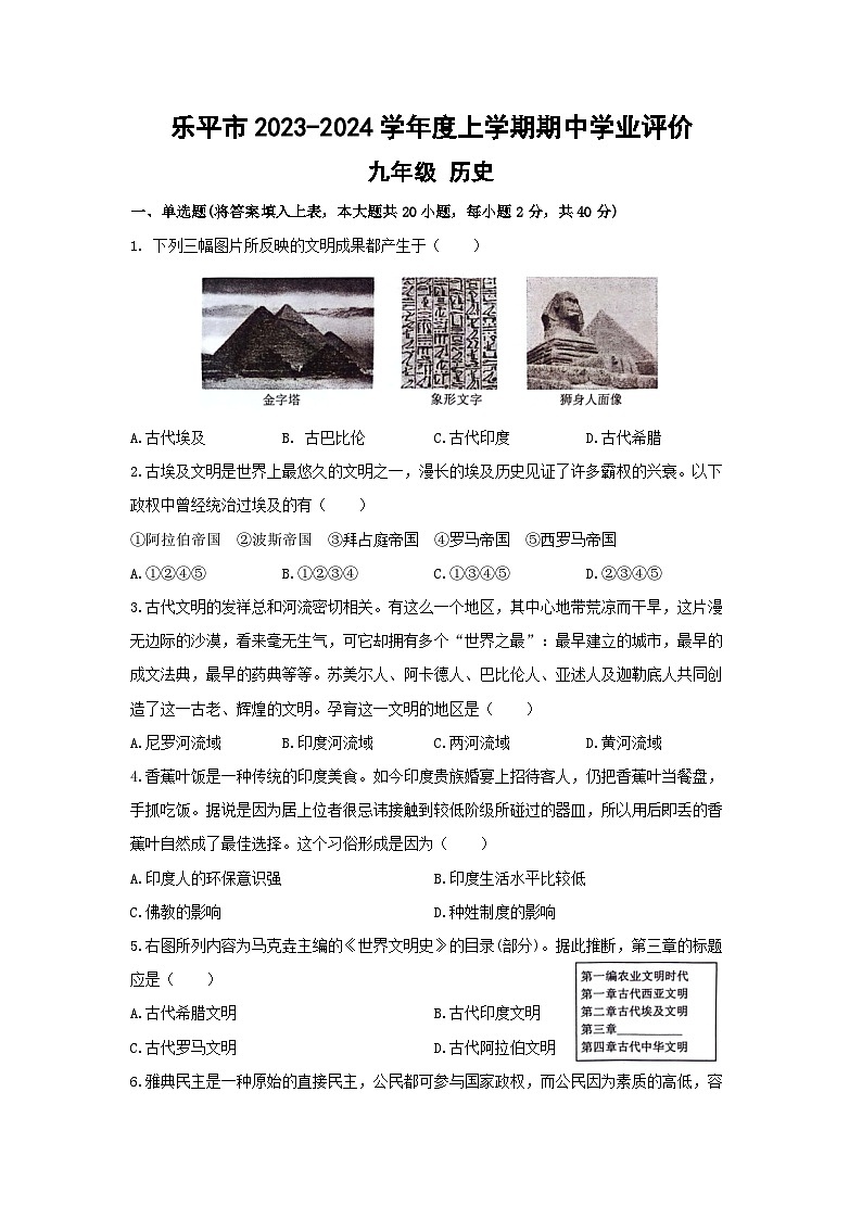 江西省景德镇市乐平市2023-2024学年九年级上学期11月期中历史试题01