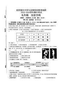 福建省龙岩莲东中学2023-2024学年九年级上学期11月期中历史试题