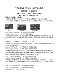 河南省平顶山市实验中学2023-2024学年九年级上学期11月期中历史试卷(无答案)