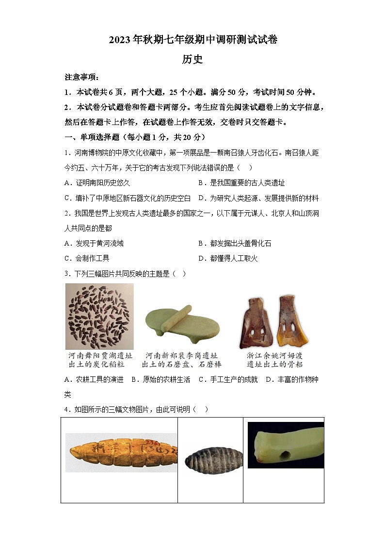 河南省南阳市卧龙区2023-2024学年七年级上学期11月期中历史试题（含解析）第1页