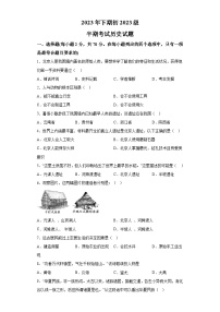 四川省名校学校2023-2024学年七年级上学期11月期中历史试题（含解析）