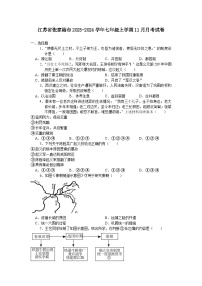 江苏省张家港市2023-2024学年七年级上学期11月月考考试历史卷（含答案）