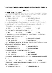 甘肃省武威第十七中学教研联片联考2023-2024学年九年级上学期11月月考历史试题