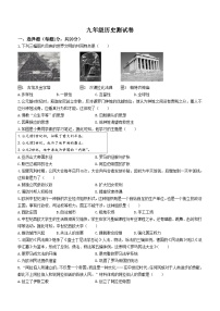 河南省浚县九校联考2023-2024学年九年级上学期11月月考历史试题