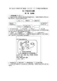 四川省达州市达川区第四中学2022-2023学年部编版九年级上学期11月期中历史试题