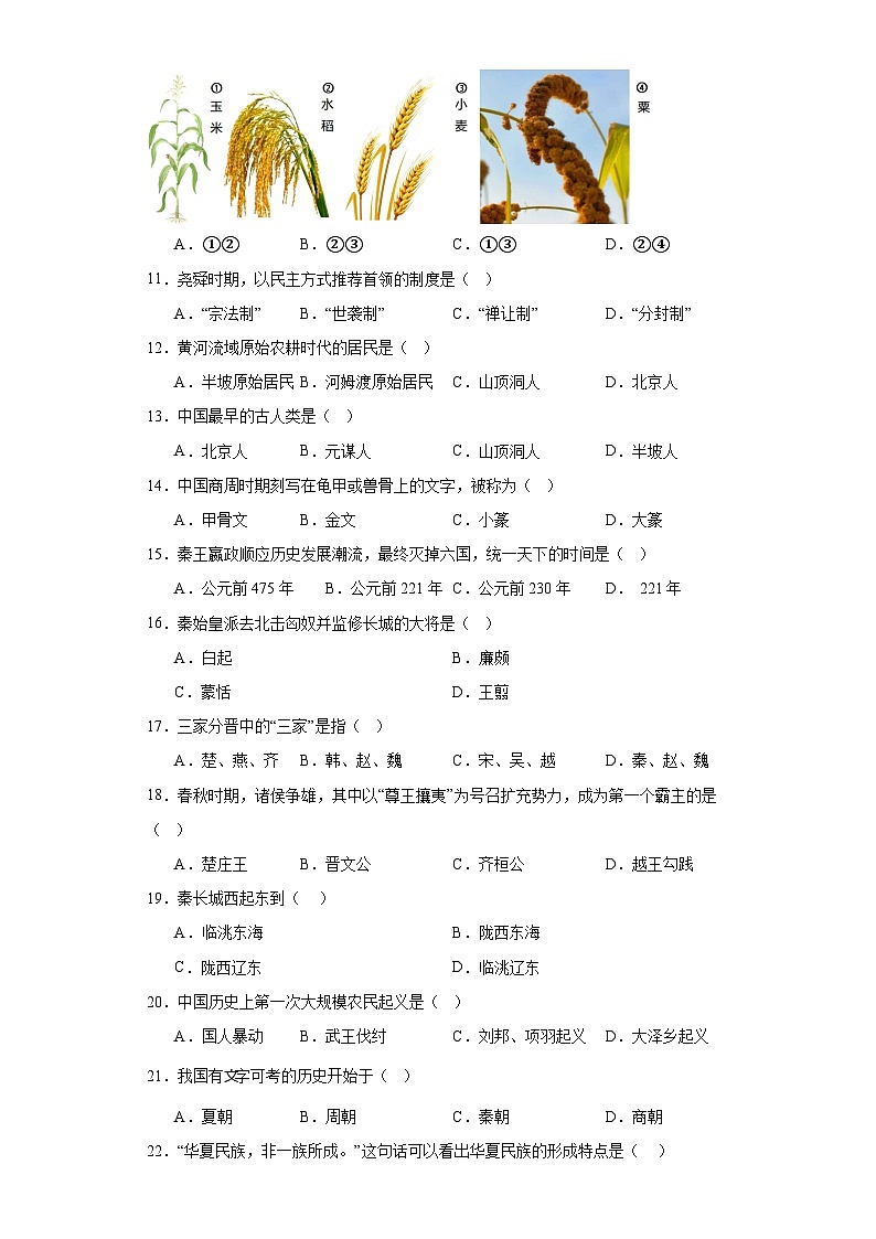 湖南省邵阳市2023--2024学年部编版七年级历史上学期期中考试卷（含答案）02