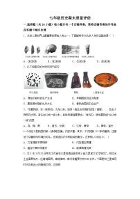 河南省信阳市平桥区龙井乡中心学校等5校2022-2023学年七年级上学期期末 历史试题（含解析）