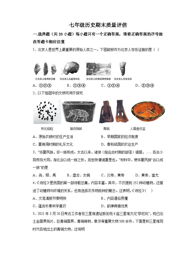 河南省信阳市平桥区龙井乡中心学校等5校2022-2023学年七年级上学期期末 历史试题（含解析）01
