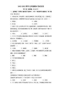 河南省濮阳市卫都学校2022-2023学年七年级上学期期末历史试题（含解析）