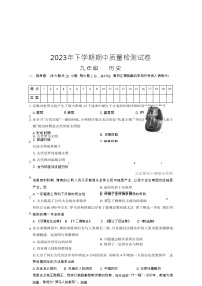 湖南省岳阳市临湘市2023-2024学年九年级上学期期中考试历史试题（Word版含答案）