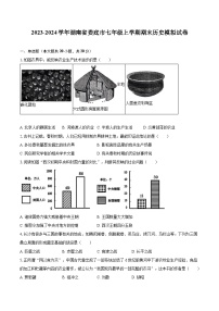 2023-2024学年湖南省娄底市七年级上学期期末历史模拟试卷（含解析）