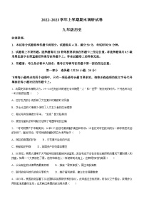 河南省平顶山市鲁山县2022-2023学年九年级上学期期末历史试题（含答案）