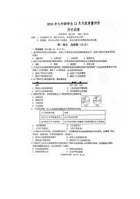 江苏省泰州市兴化市2023-2024学年九年级上学期12月月考历史试题