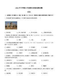 湖南省娄底市新化县2022-2023学年八年级上学期期末历史试题（含答案）