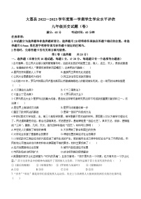 陕西省渭南市大荔县2022-2023学年九年级上学期期末历史试题(无答案)