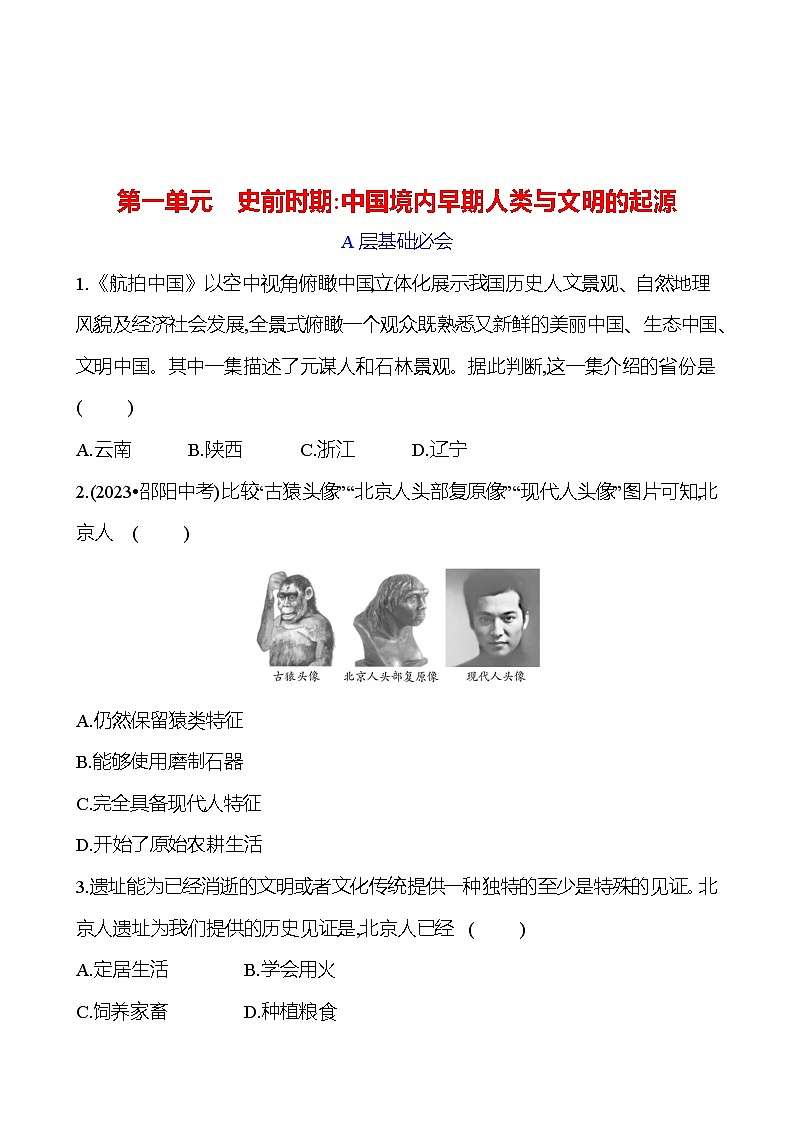 第一单元　史前时期：中国境内早期人类与文明的起源 专题训练 2023-2024 初中历史复习01