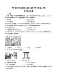 广东省深圳市光明区2020-2021学年部编版八年级上学期期末历史试题