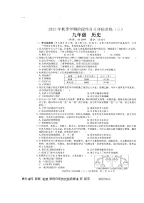 110，广西壮族自治区钦州市浦北县第三中学2023-2024学年九年级上学期12月月考历史试题