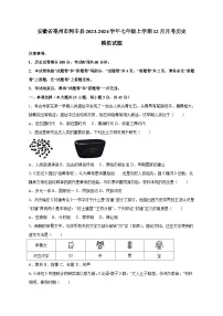 安徽省亳州市利辛县2023-2024学年七年级上学期12月月考历史模拟试题（含答案）