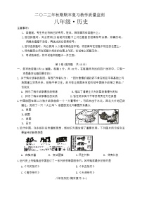 四川省宜宾市南溪区2023~2024学年八年级上学期期末历史试题