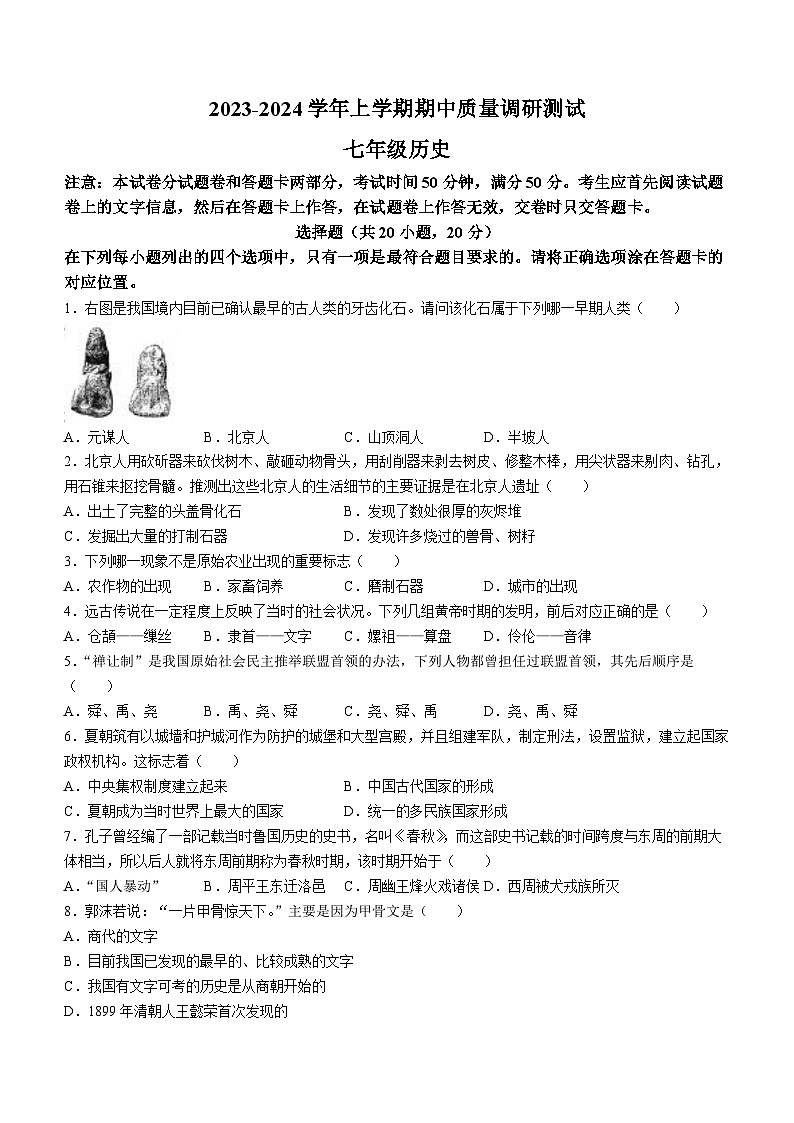 河南省鹤壁市部分学校联考2023-2024学年七年级上学期期中历史试题（含答案）第1页