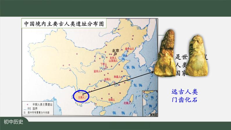 2023-2024学年部编版七年级上册历史课件 第一课 中国境内早期人类的代表——北京人05