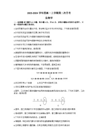 河南省新乡市2023-2024学年九年级上学期期末历史试题