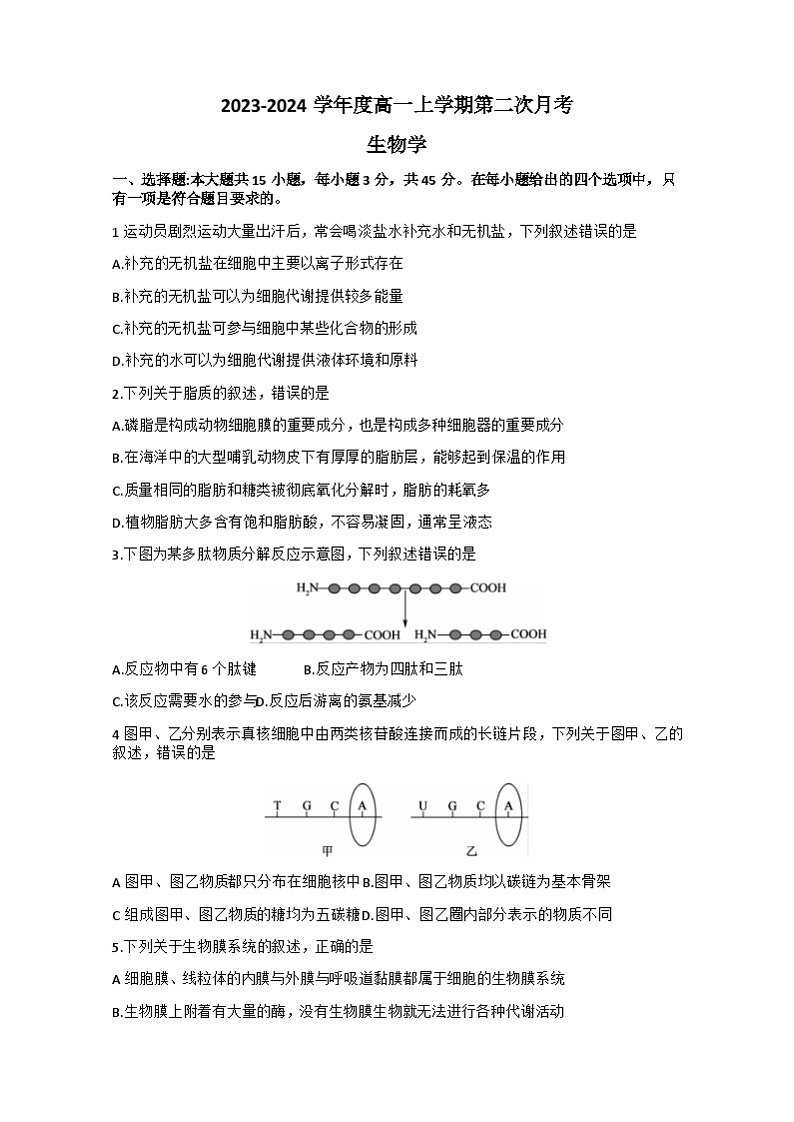 河南省新乡市2023-2024学年九年级上学期期末历史试题第1页
