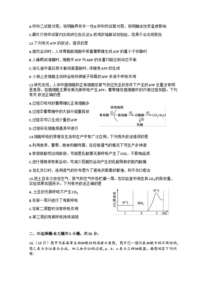 河南省新乡市2023-2024学年九年级上学期期末历史试题第3页