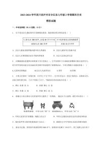 2023-2024学年四川省泸州市合江县七年级上学期期末历史模拟试题（含答案）