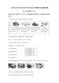 北京市大兴区2023-2024学年九年级上学期期末历史模拟试题（含答案）