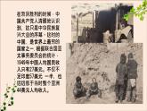 部编版八年历史下册第三课土地改革PPT课件