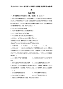 广东省云浮市罗定市八校联考2023-2024学年九年级上学期期末历史试题（ 含解析）